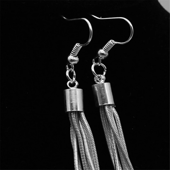 New! Long Silver Tassel Earrings - Picture 6 of 14